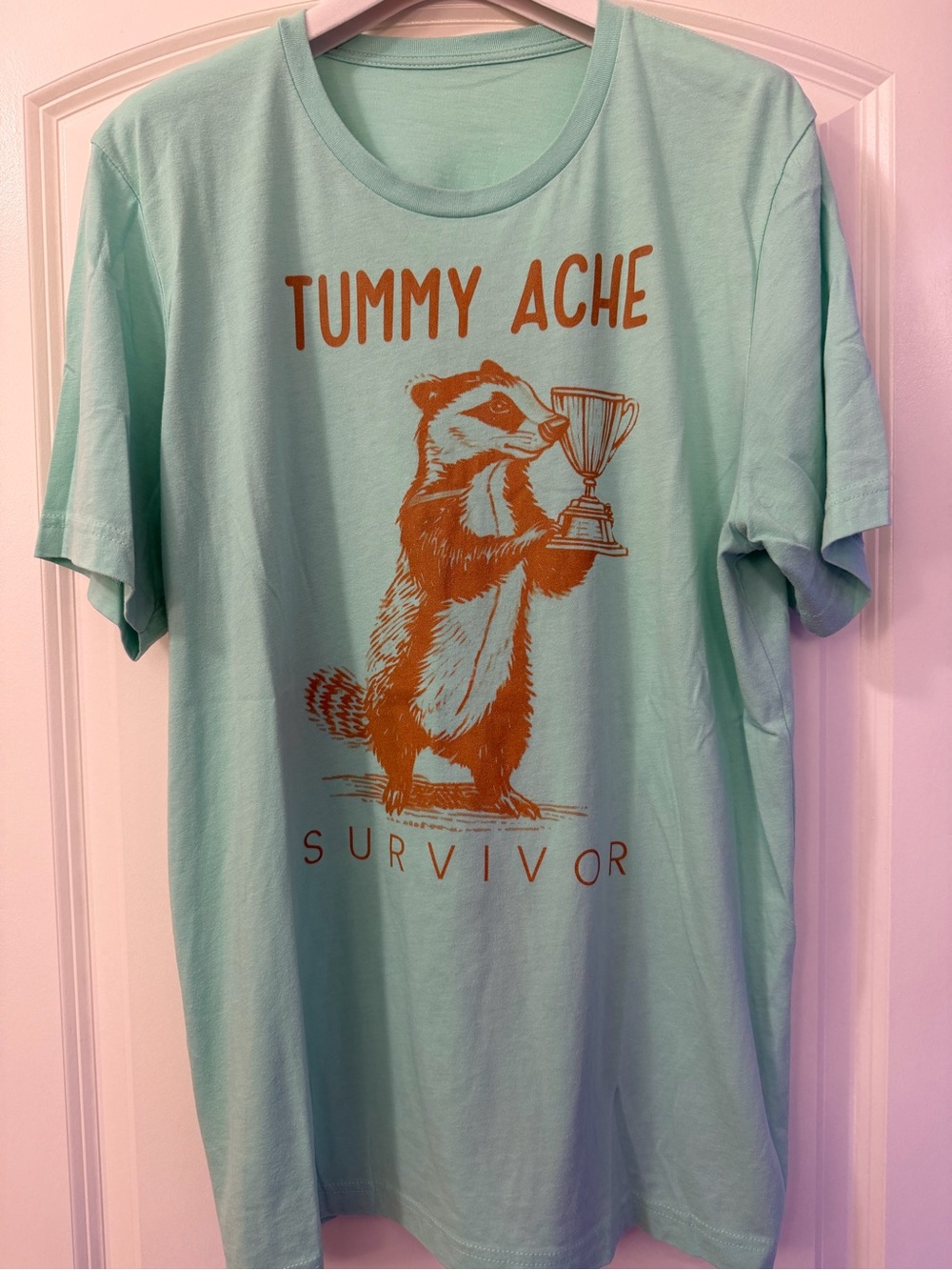 Tummy Ache Survivor Graphic Tee - Mint Green